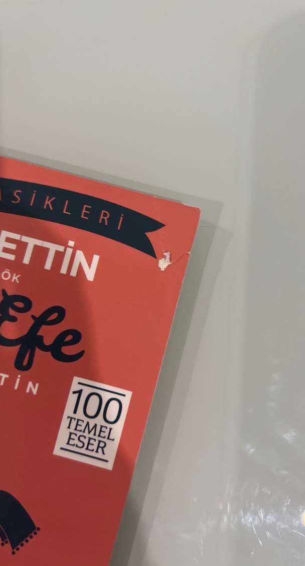 Ömer Seyfettin - Yalnız Efe Kısaltılmış Metin - Görsel 3