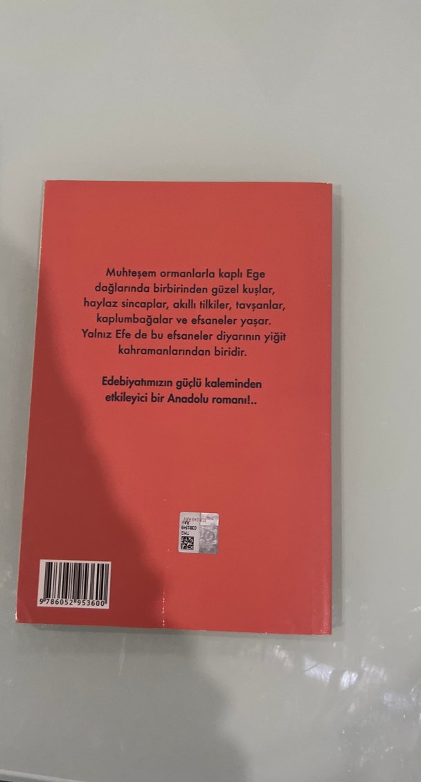 Ömer Seyfettin - Yalnız Efe Kısaltılmış Metin - Görsel 2