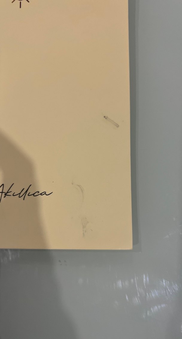 Noktalı Defter - Görsel 2