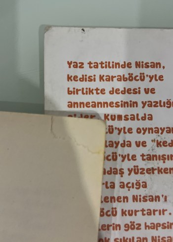 Kara böcü Çocuk Kitapları Seti - 3 Kitap - Görsel 7