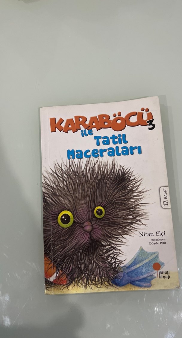 Kara böcü Çocuk Kitapları Seti - 3 Kitap - Görsel 4