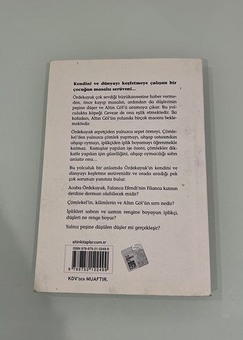 Düşlerin Peşindeki Çocuk - Koray Avcı Çakman - Görsel 2