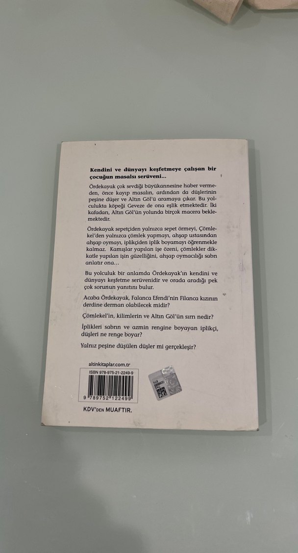 Düşlerin Peşindeki Çocuk - Koray Avcı Çakman - Görsel 2