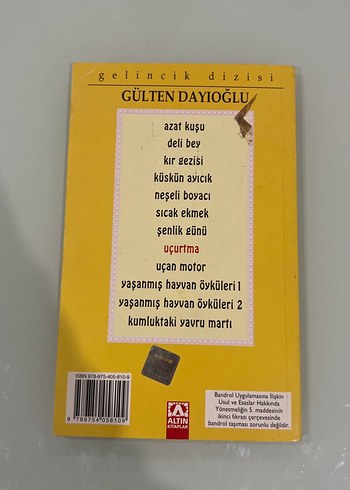 Uçurtma - Gülten Dayıoğlu - Görsel 2