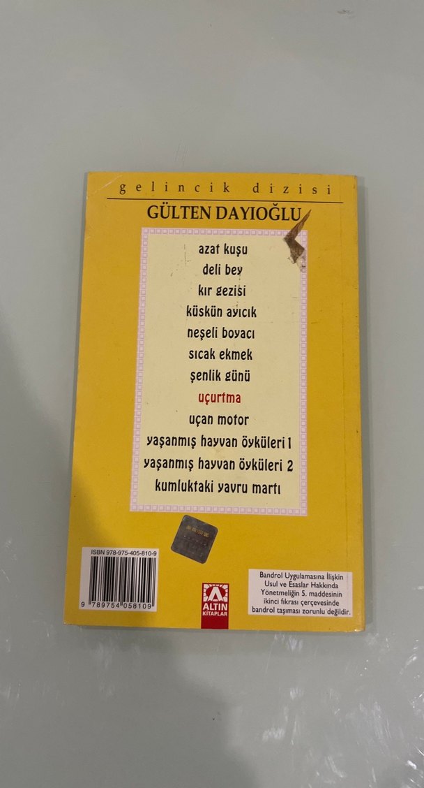 Uçurtma - Gülten Dayıoğlu - Görsel 2