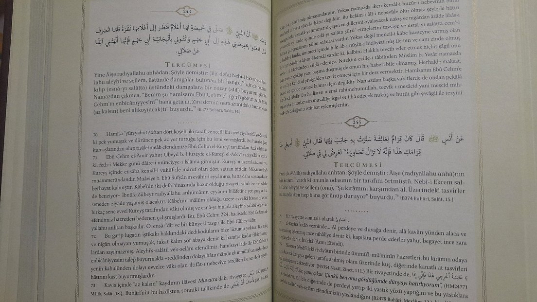 TECRİDİ SARİH BUHARİ ŞERHİ - Görsel 3