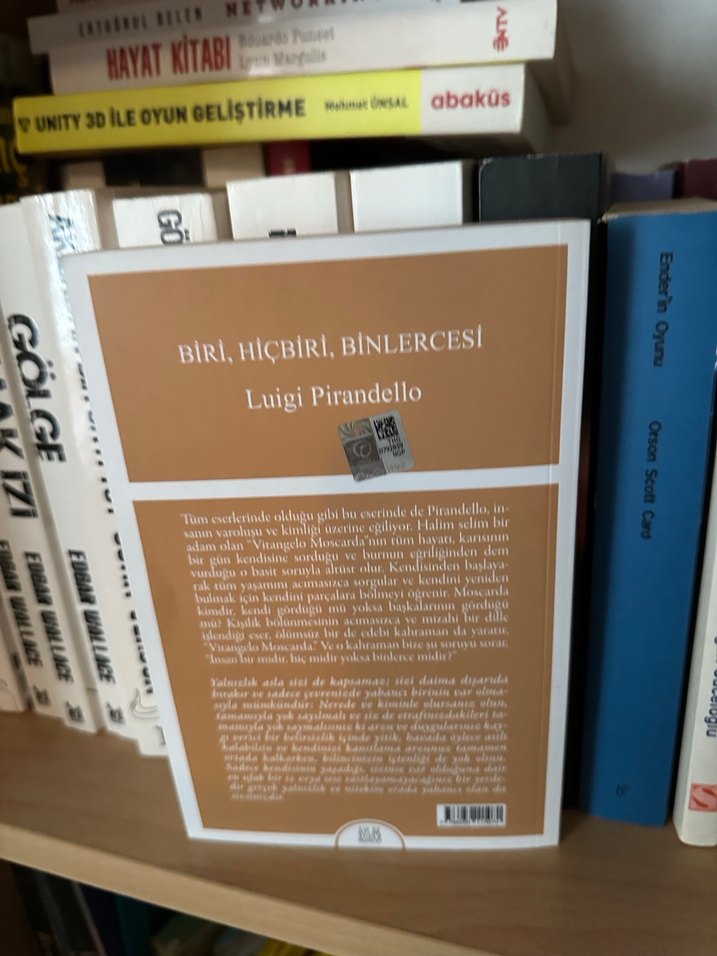 Biri, Hiçbiri, Binlercesi - Luigi Pirandello - Görsel 2