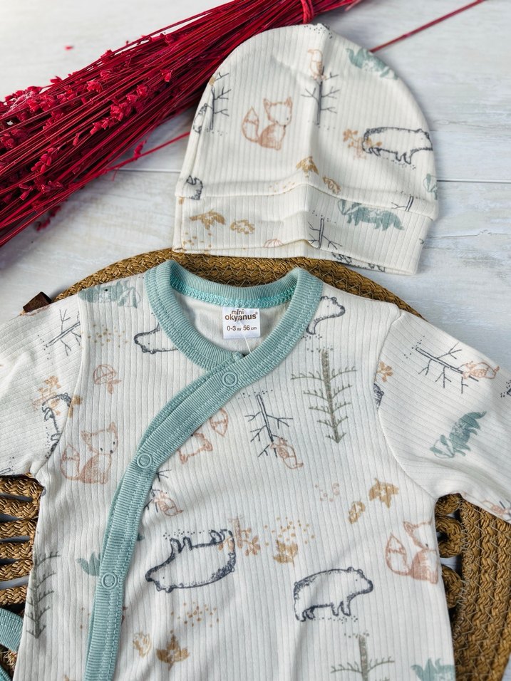 Erkek Bebek Takımı 0-3 ay hastane çıkışı - Görsel 2