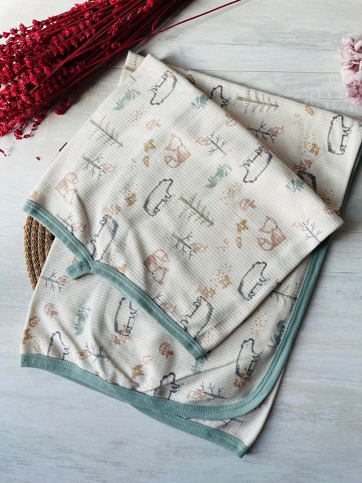 Erkek Bebek Takımı 0-3 ay hastane çıkışı - Görsel 3