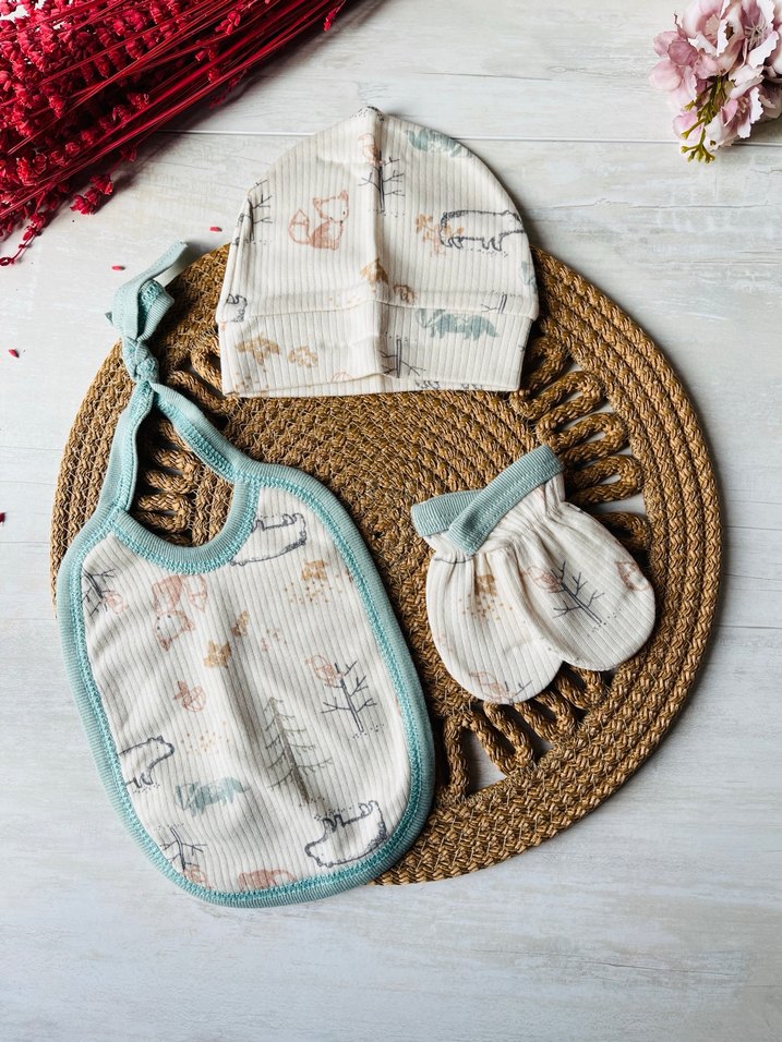 Erkek Bebek Takımı 0-3 ay hastane çıkışı - Görsel 5