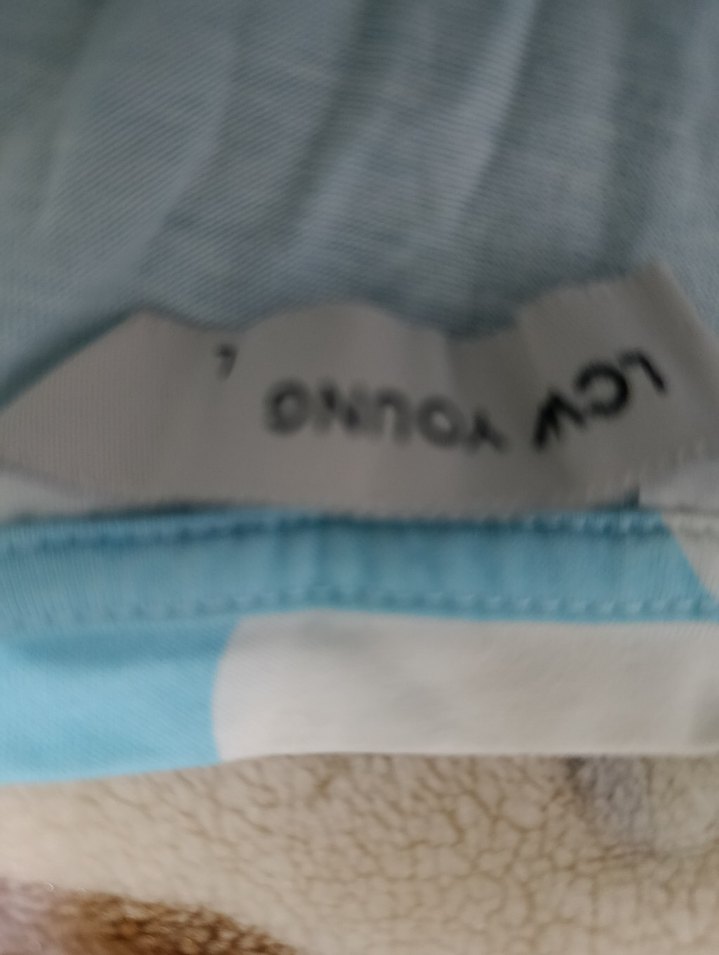 Mavi Bulut Desenli Salaş Hamile Tişörtü - Görsel 2