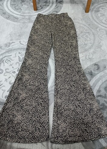 Leopar desenli ispanyol paca
