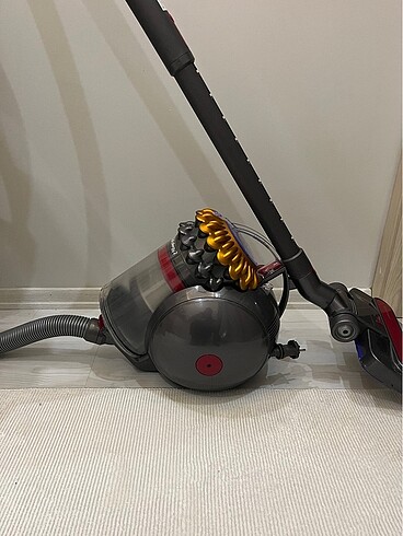 Beden Dyson big ball allergy 2