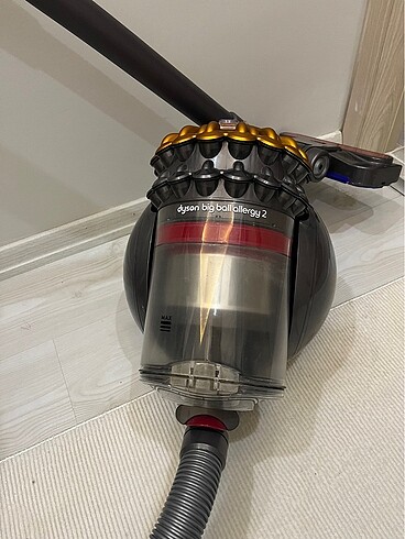 Beden Renk Dyson big ball allergy 2