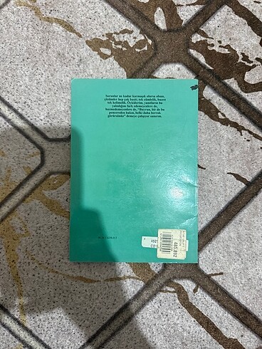 RÜZGAR ÇIKTI-NURDAN BEŞERGİL - Görsel 2