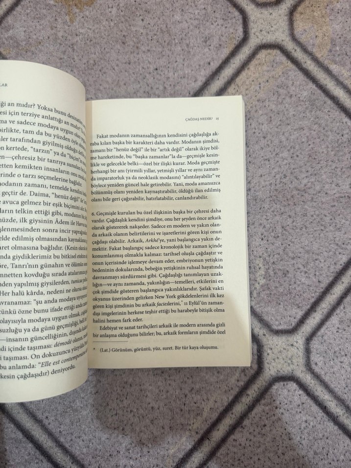 Çıplaklıklar - Giorgio Agamben - Görsel 3