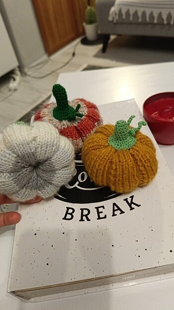 Dekoratif öegü kabak - Görsel 5