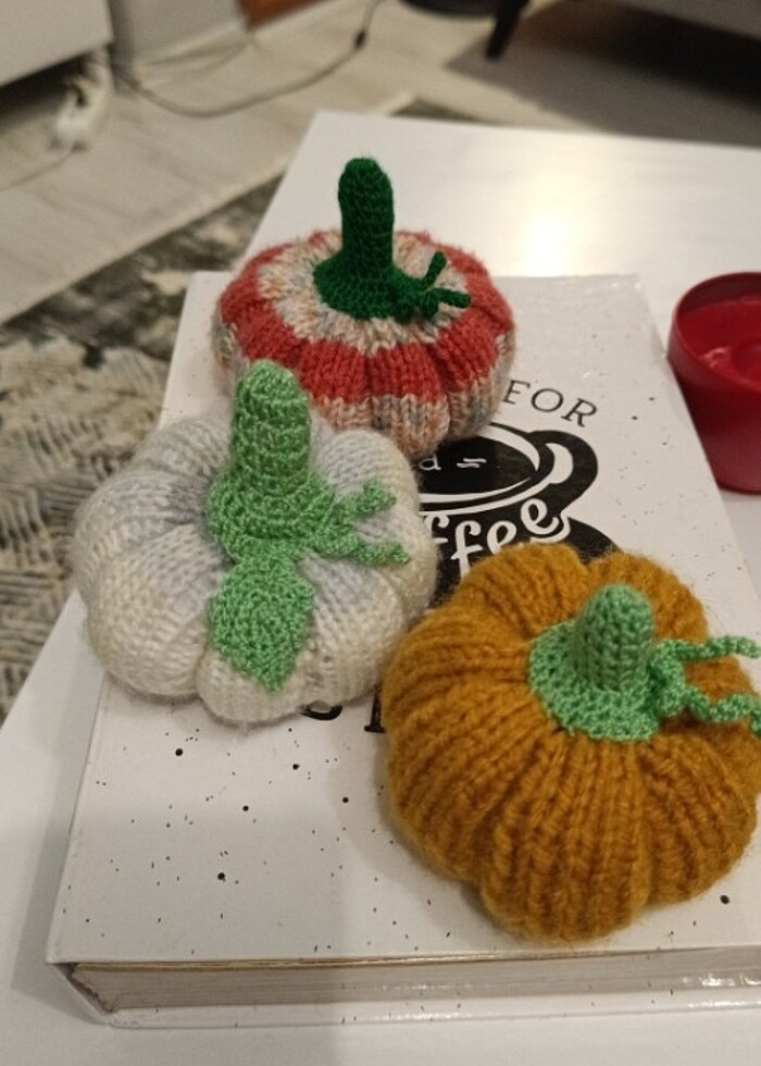 Dekoratif öegü kabak - Görsel 4