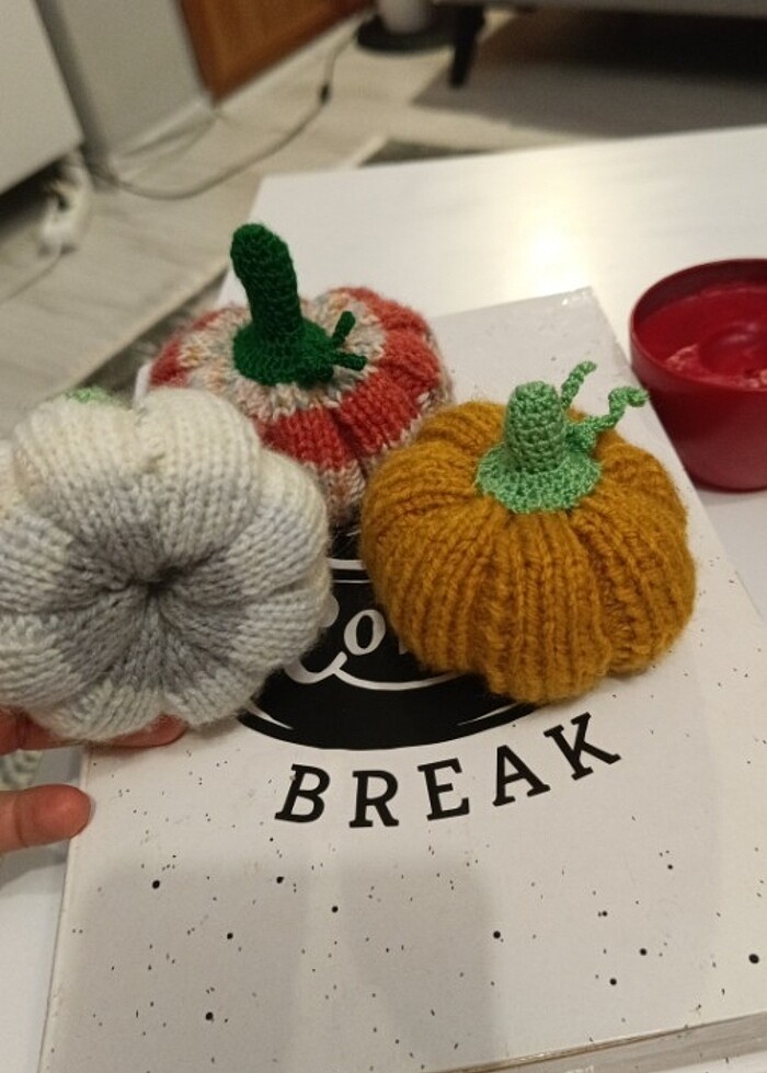 Dekoratif öegü kabak - Görsel 5