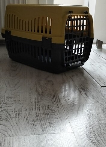 Kedi taşıma 