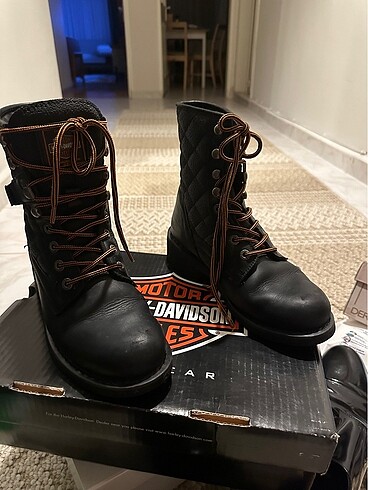 Harley Davidson harley bot