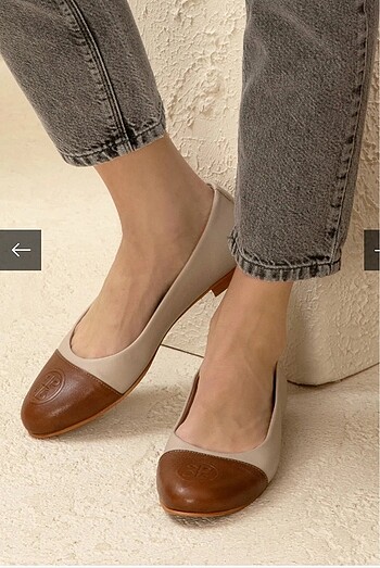 Pierre Cardin Babet