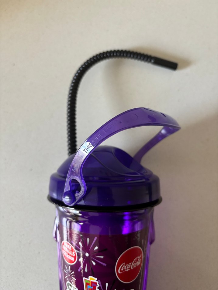 Six Flags Mor Renkli Su Şişesi - Görsel 2