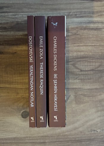 Charles Dickens, Dostoyevski ve Emile Zola Kitapları - Görsel 5