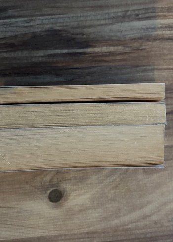 Charles Dickens, Dostoyevski ve Emile Zola Kitapları - Görsel 6