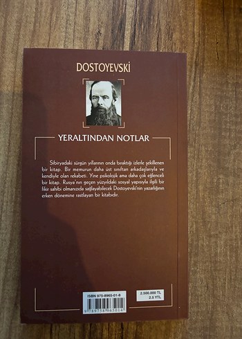 Charles Dickens, Dostoyevski ve Emile Zola Kitapları - Görsel 4