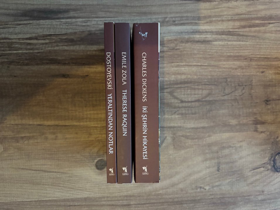 Charles Dickens, Dostoyevski ve Emile Zola Kitapları - Görsel 5