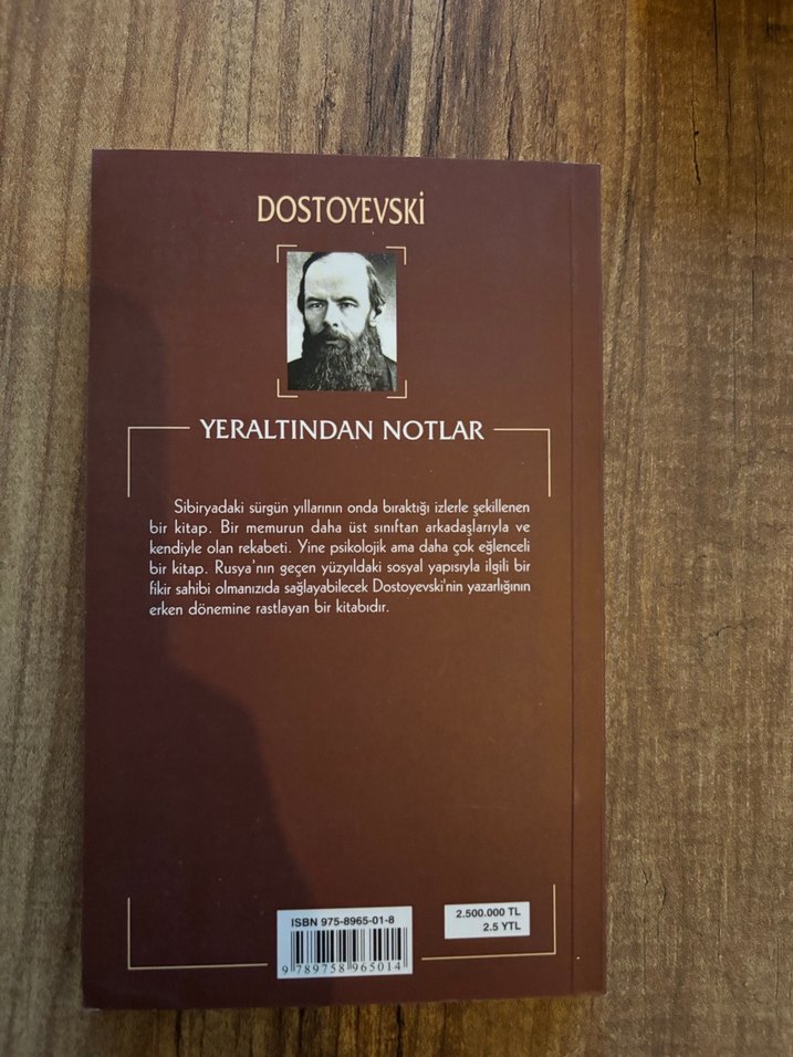 Charles Dickens, Dostoyevski ve Emile Zola Kitapları - Görsel 4