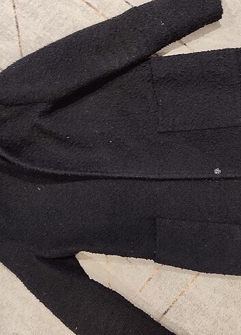 Siyah kaban - Görsel 4