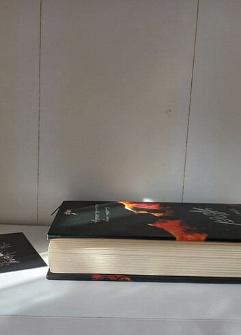  Kitap asel