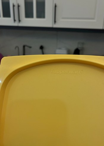 Tupperware Tupperware Peynir Saklama Kabı