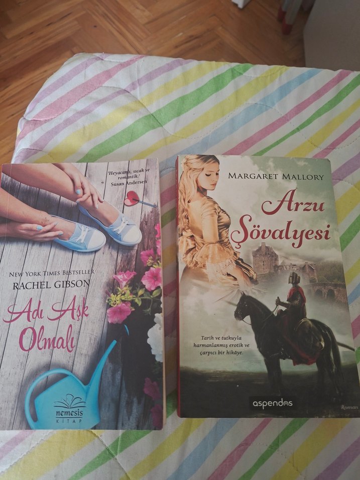 Adı Aşk Olmalı & Arzu Şövalyesi Romanları - Görsel 2