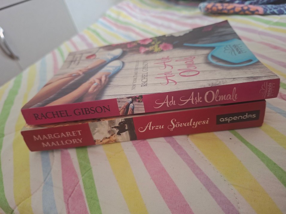 Adı Aşk Olmalı & Arzu Şövalyesi Romanları - Görsel 5
