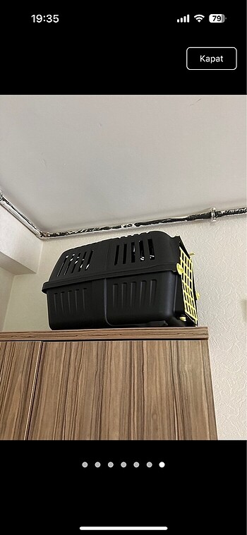 Kedi taşıma box