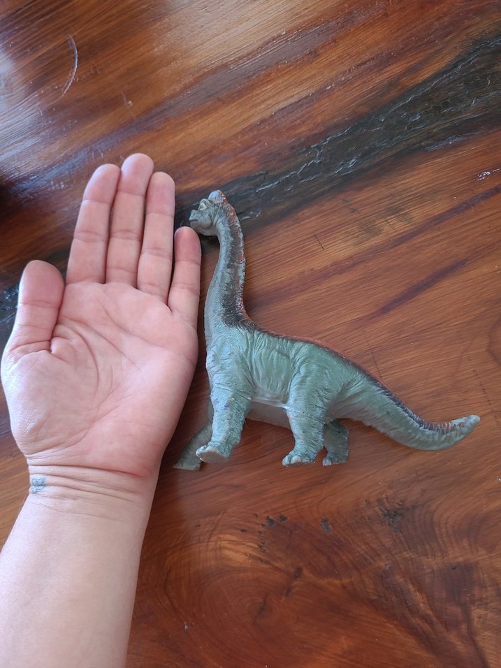 Gri Camel Dinozor Figürü - Görsel 4