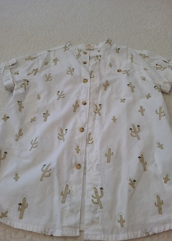 Erkek Çocuk Beyaz Kaktüs Desenli Kısa Kollu Gömlek soo be gomlek - Görsel 6