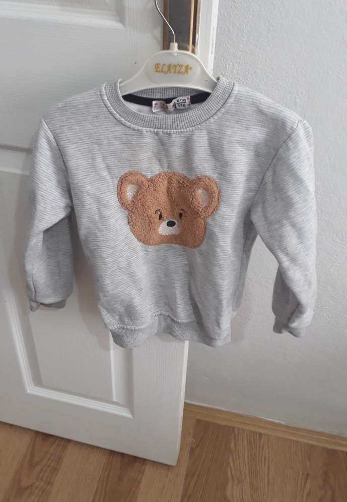 Gri Erkek Çocuk Ayıcık Nakışlı Sweatshirt - Görsel 2