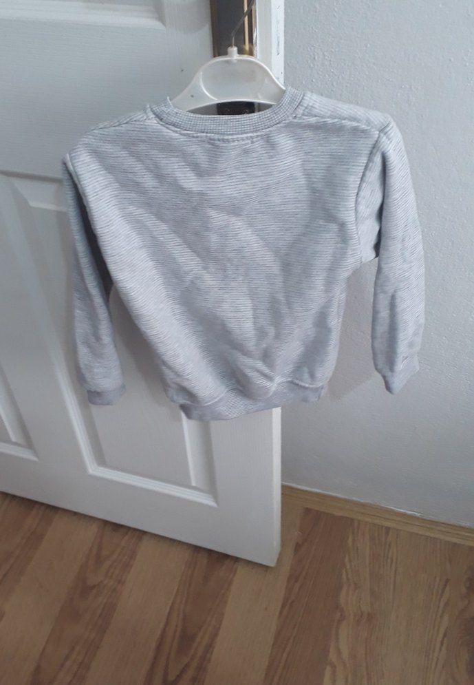 Gri Erkek Çocuk Ayıcık Nakışlı Sweatshirt - Görsel 3