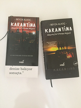 Karantina serisi kitap roman 