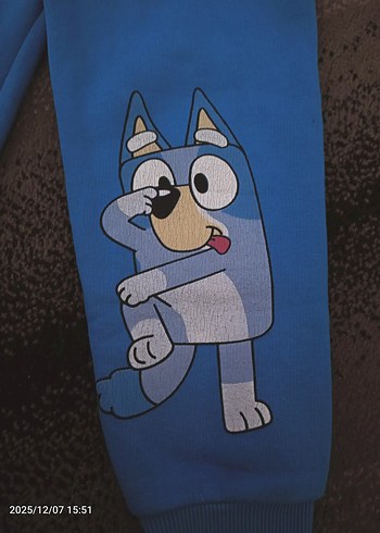 Bluey Baskılı Erkek Çocuk Eşofman Altı - Görsel 2