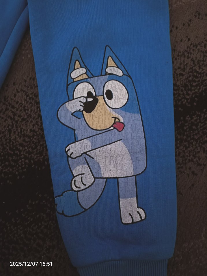 Bluey Baskılı Erkek Çocuk Eşofman Altı - Görsel 2