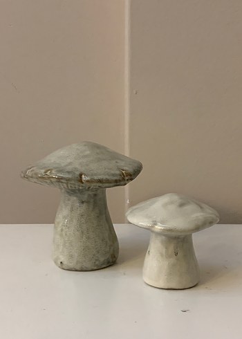 Mantar biblolar - Görsel 2