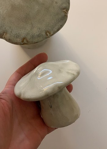 Mantar biblolar - Görsel 3