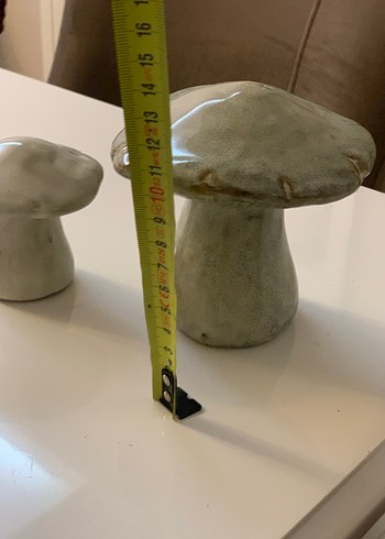 Mantar biblolar - Görsel 6