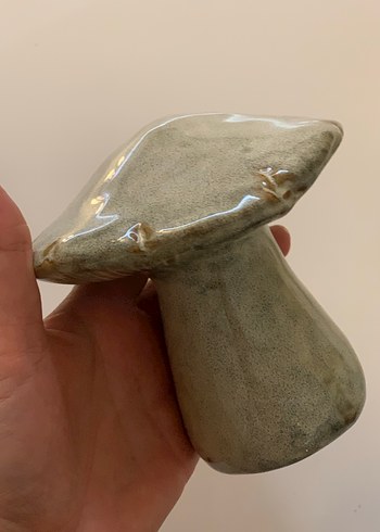 Mantar biblolar - Görsel 4