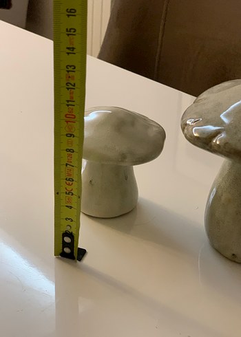 Mantar biblolar - Görsel 5